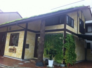 プラントカーテンと草屋根