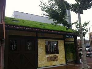 草屋根