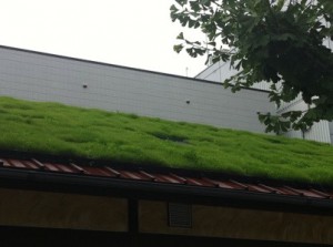 草屋根