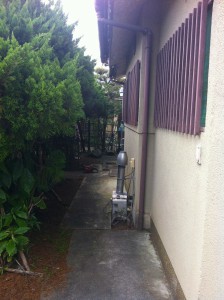 Before:前面道路、生垣裏側