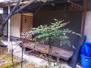 Before:南面庭側