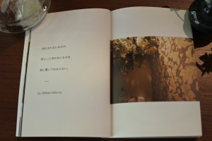 4E118643-0A57-4E12-A91F-2BD78A79C28A