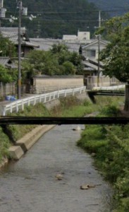 S__4939844