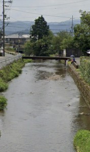 S__4939846