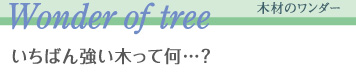 木材のワンダー　Wonder of tree　一番強い木って何？