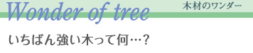 木材のワンダー Wonder of tree 一番強い木って何?